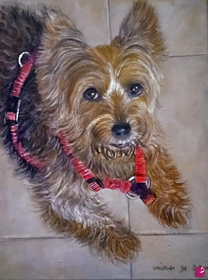 quadri in vendita online - cagnolino   di  Paola  ritratto
