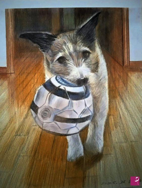 quadri in vendita online - cagnolino di Wanda