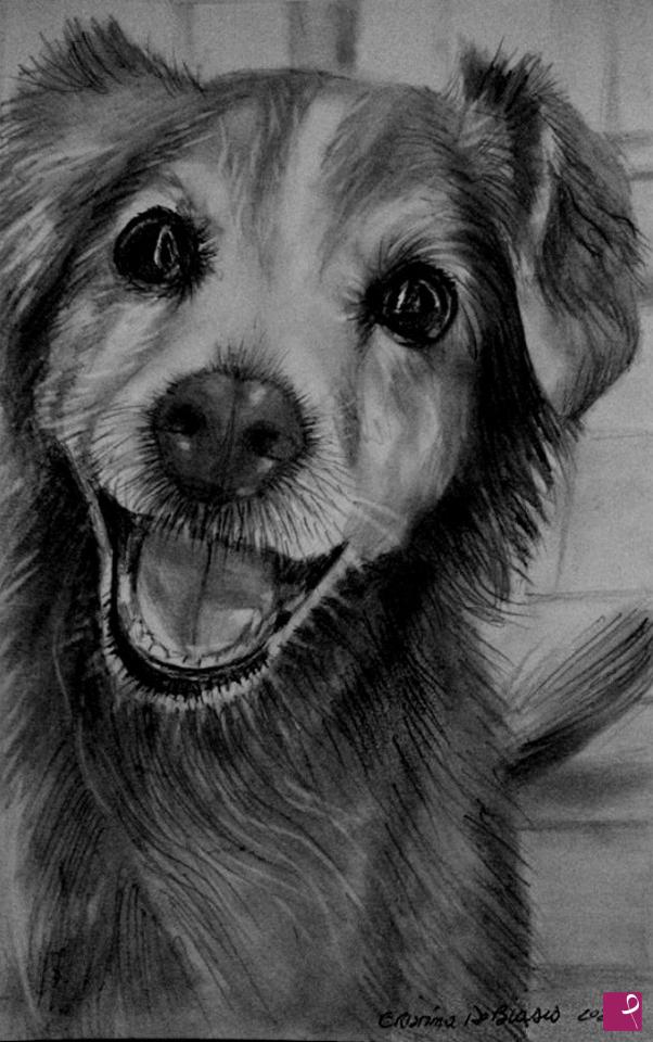 quadri in vendita online - cagnolino  felice