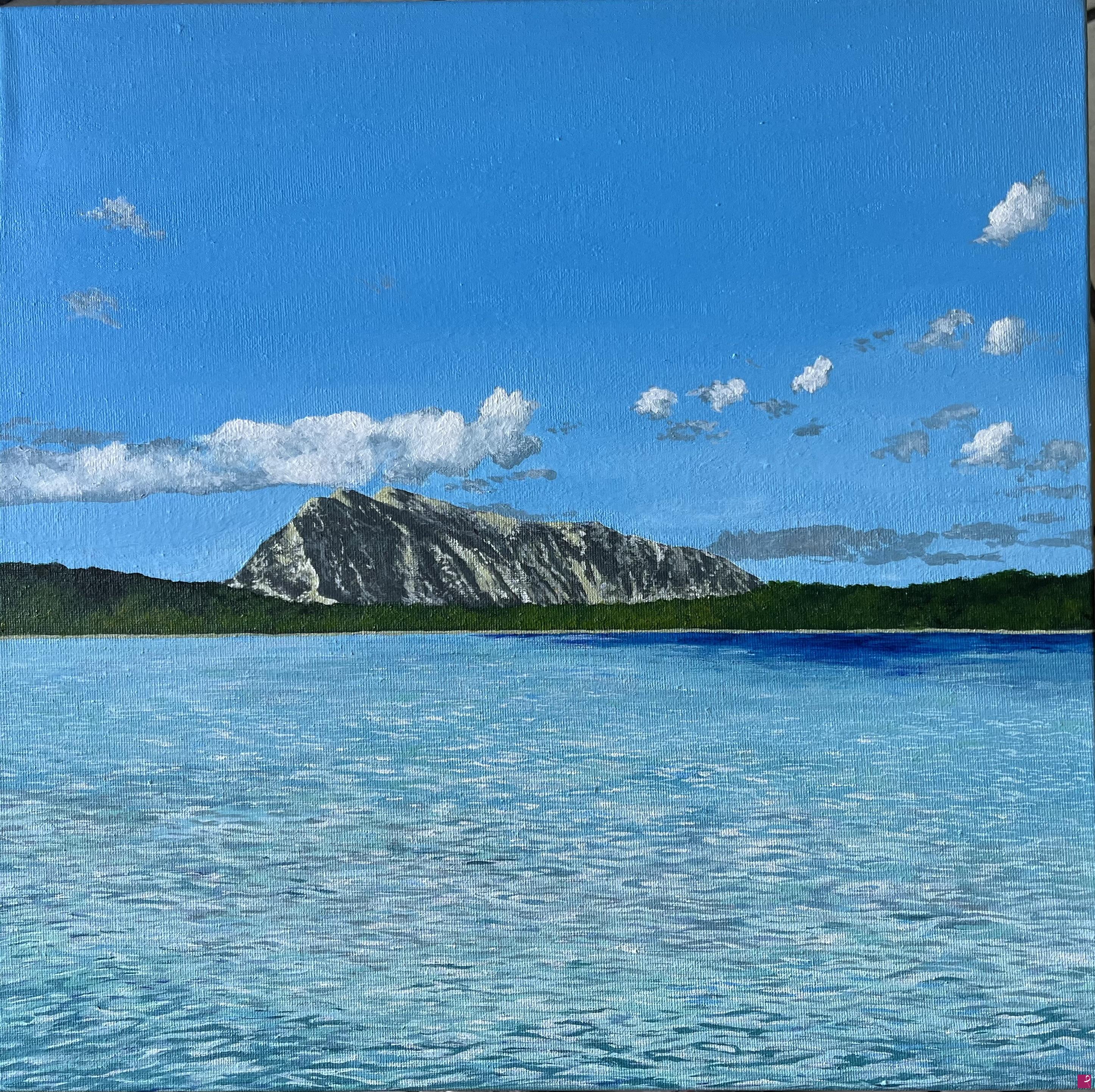 quadri in vendita online - Cala Brandinchi 