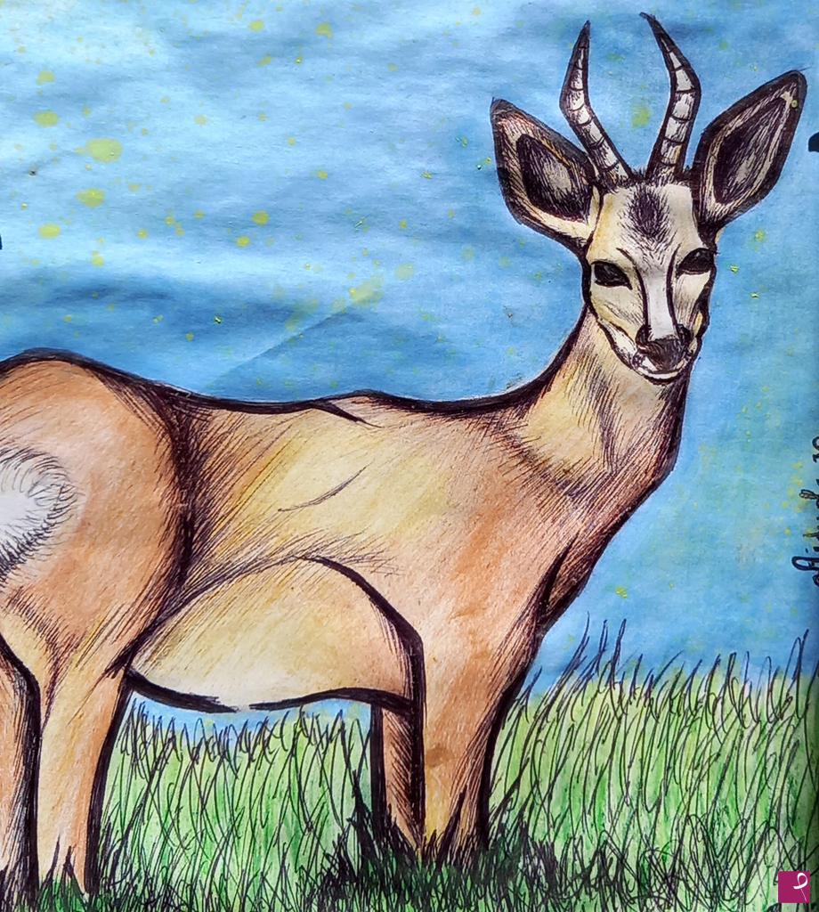 quadri in vendita online - Call of the roe deer