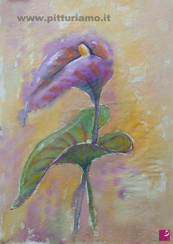 quadri in vendita online - Calla viola