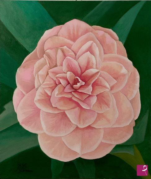 quadri in vendita online - Camelia rosacea