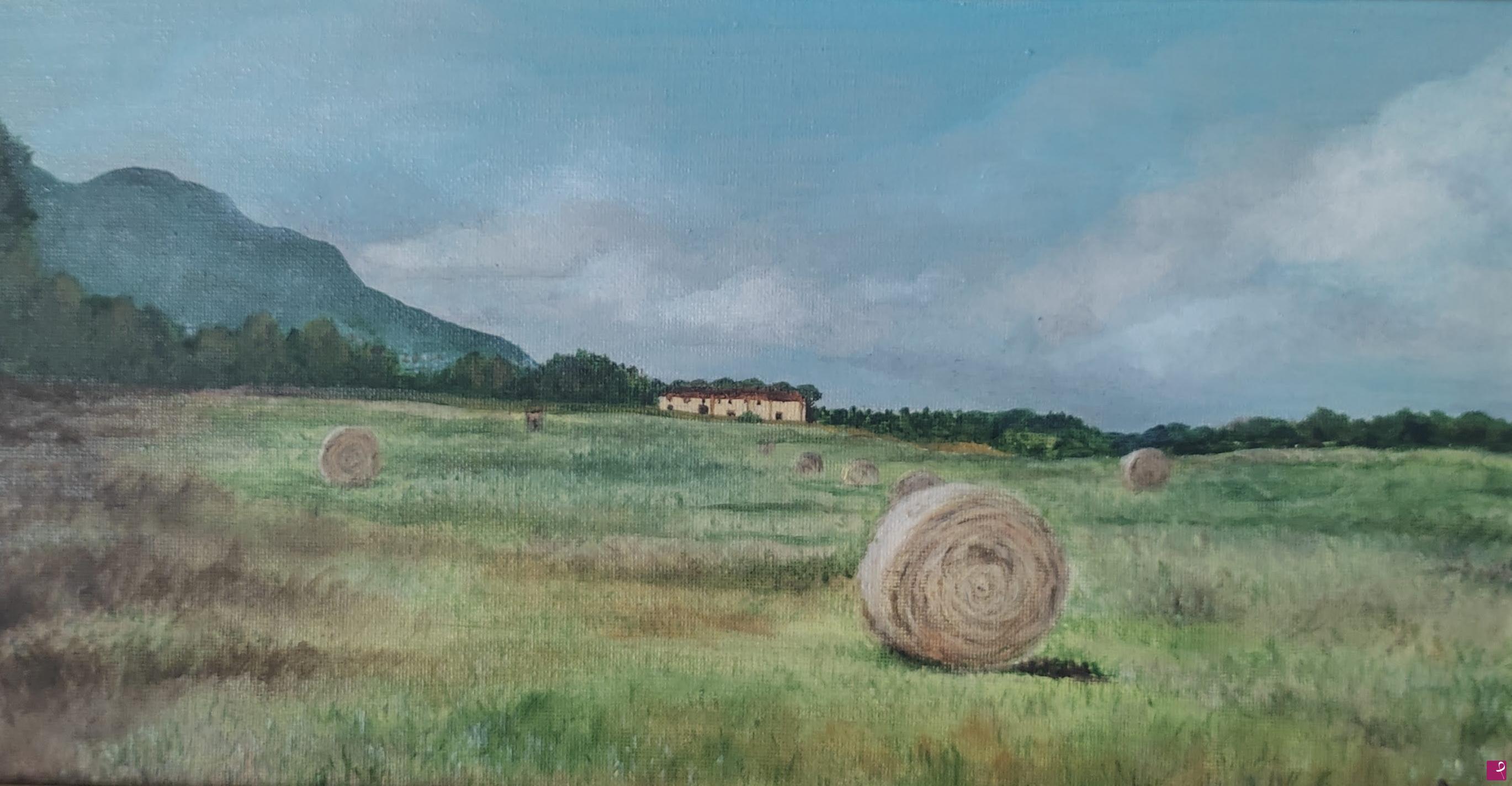 quadri in vendita online - Campagna toscana