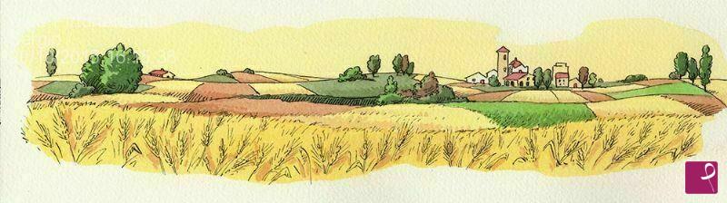 quadri in vendita online - campi di grano