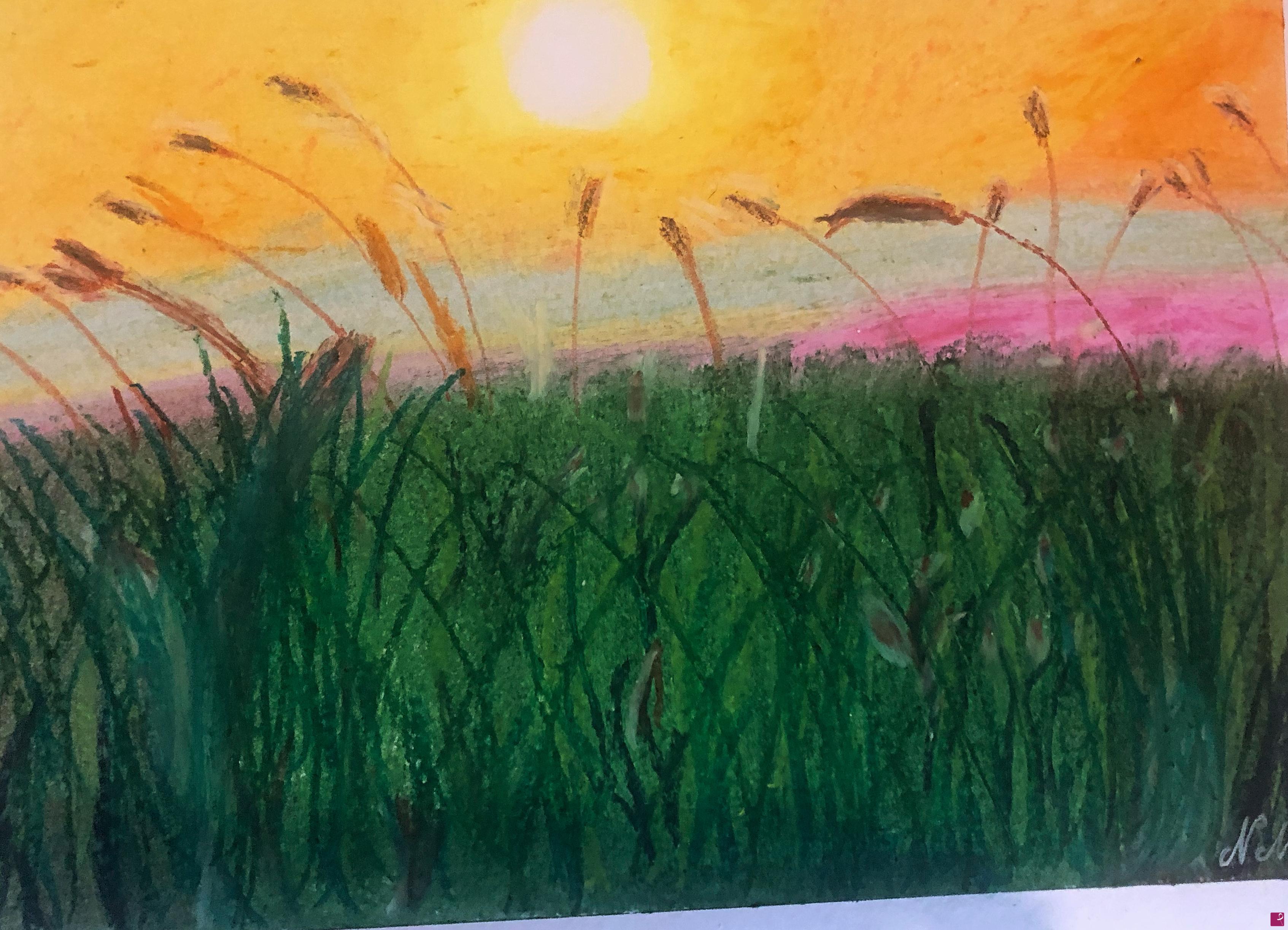 quadri in vendita online - Campo al tramonto 