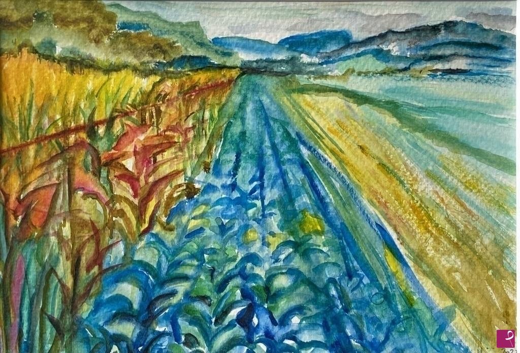quadri in vendita online - Campo di cavoli