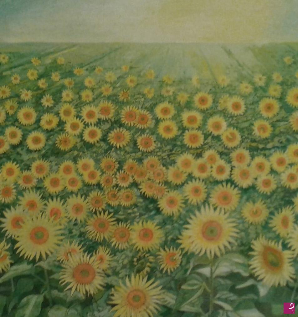 quadri in vendita online - Campo di girasoli
