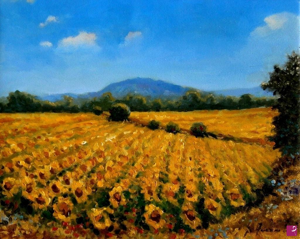 quadri in vendita online - campo di girasoli