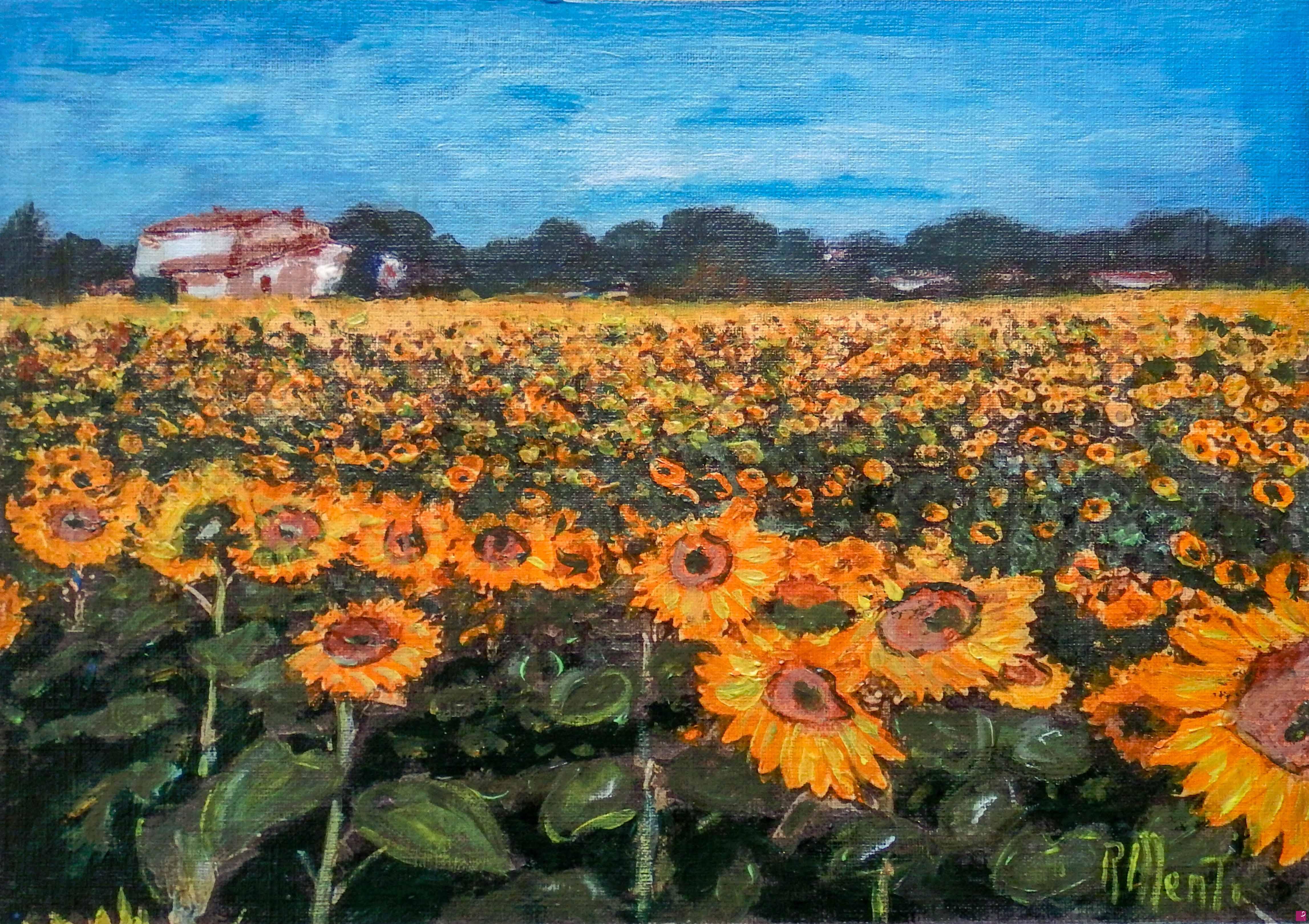 quadri in vendita online - Campo di girasoli