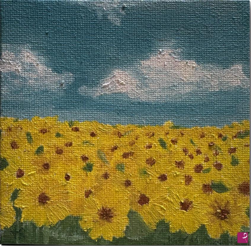 quadri in vendita online - “Campo di girasoli mignon” Judy Mazzotti 2024 N48