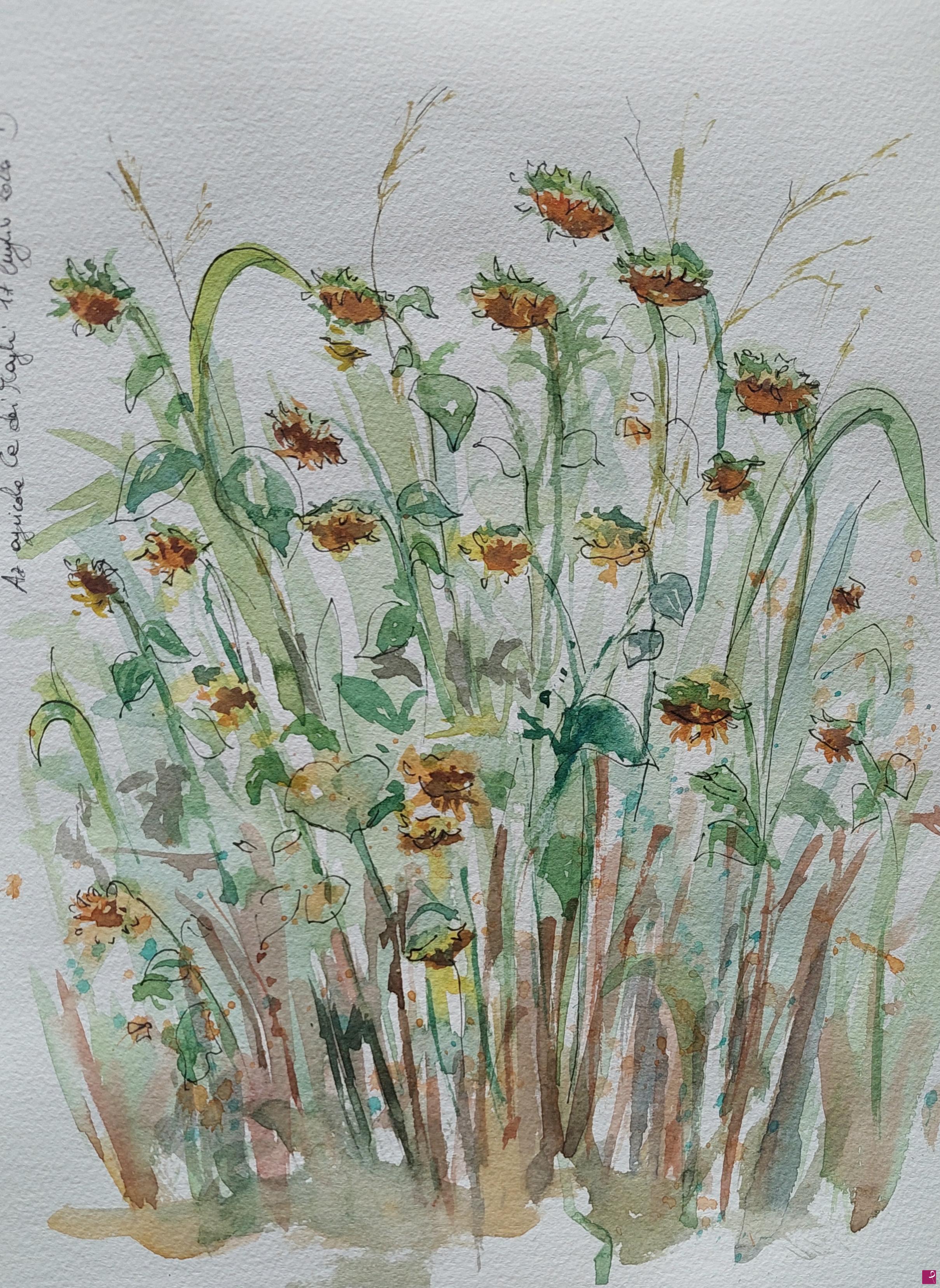 quadri in vendita online - Campo di girasoli secchi