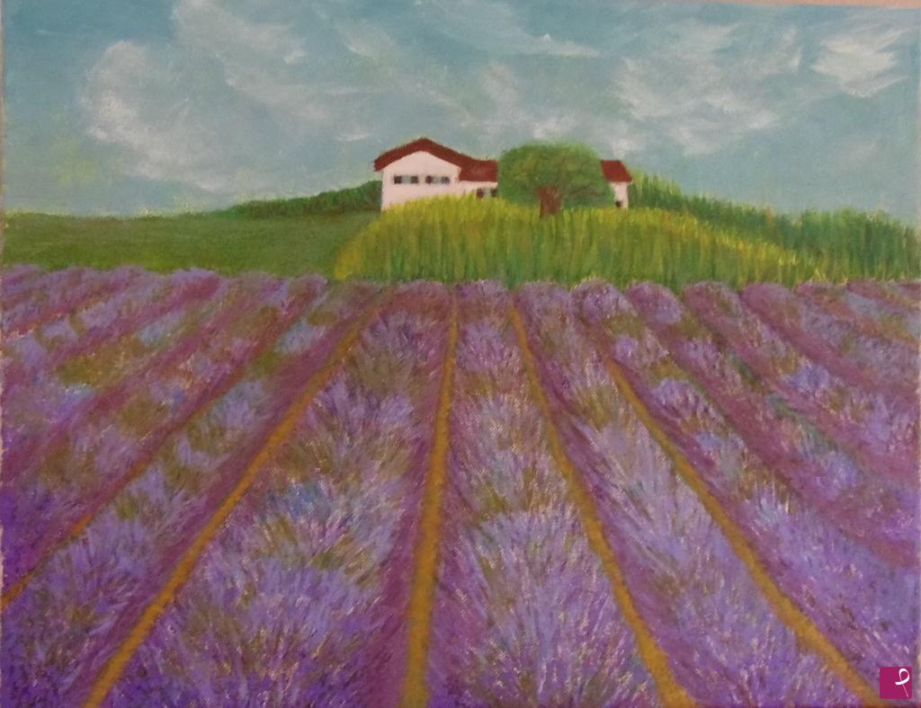 quadri in vendita online - Campo di lavanda