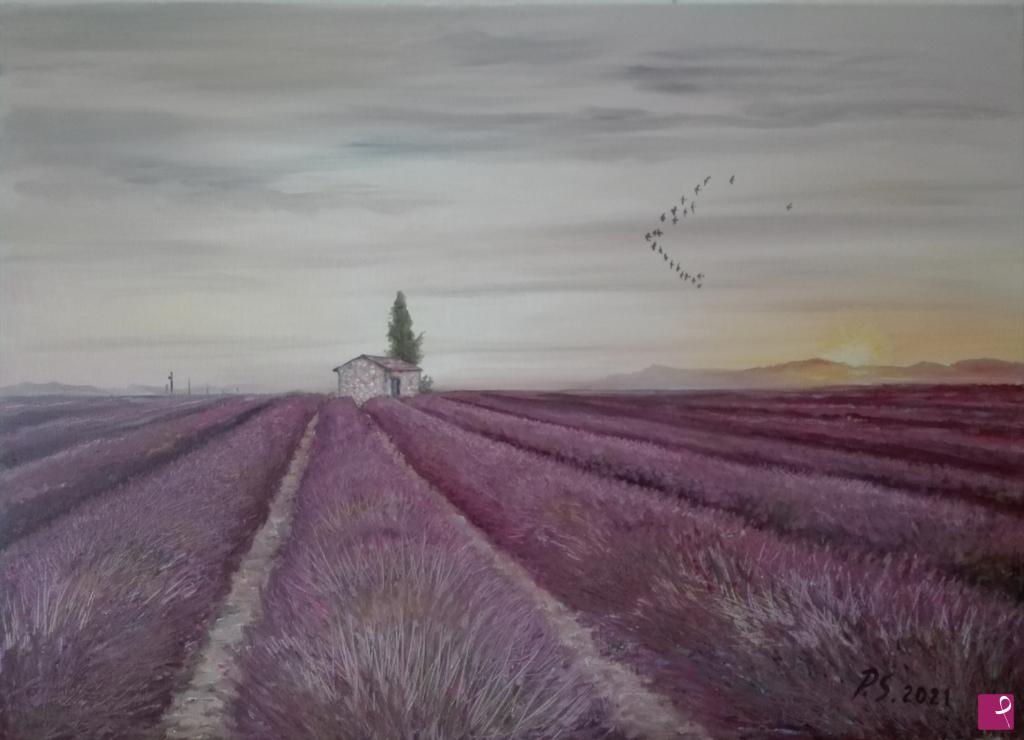 quadri in vendita online - Campo di lavanda