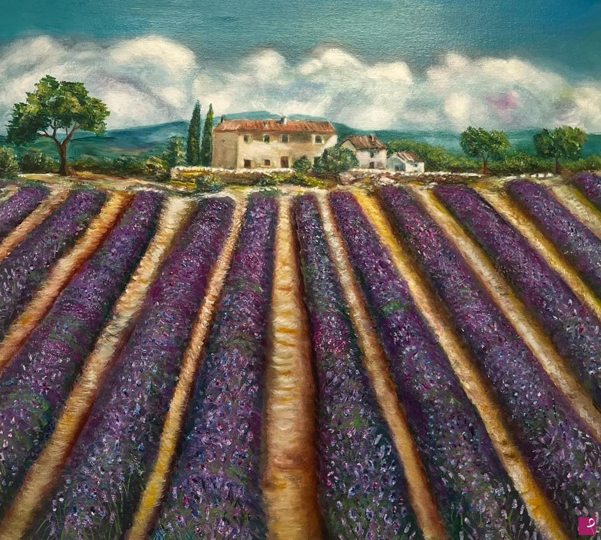 quadri in vendita online - Campo di lavanda