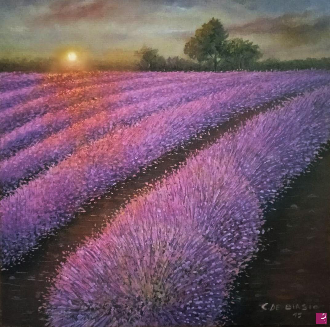 quadri in vendita online -   Campo di lavanda   al   tramonto...olio   su   tela 40x40