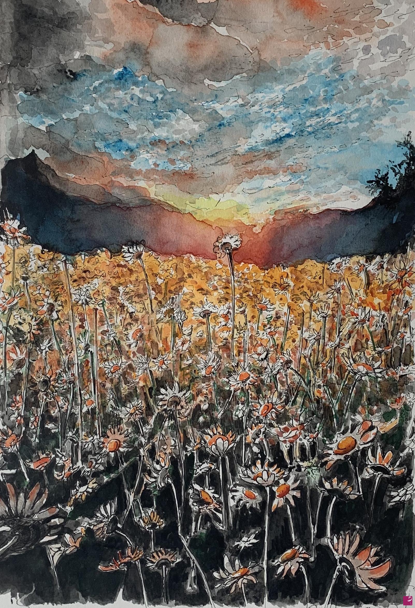 quadri in vendita online - Campo di margherite al tramonto
