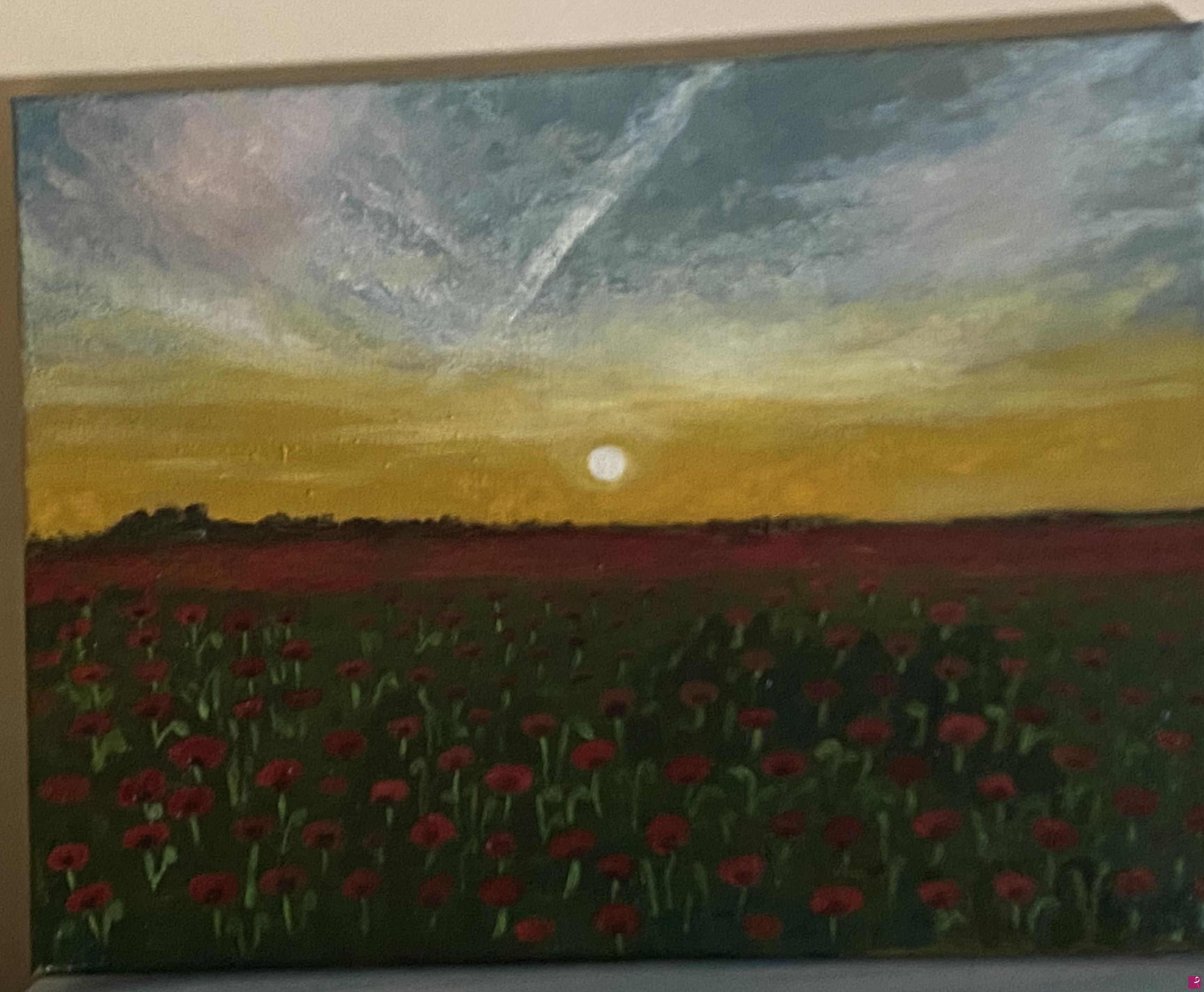 quadri in vendita online - Campo di papaveri al tramonto 