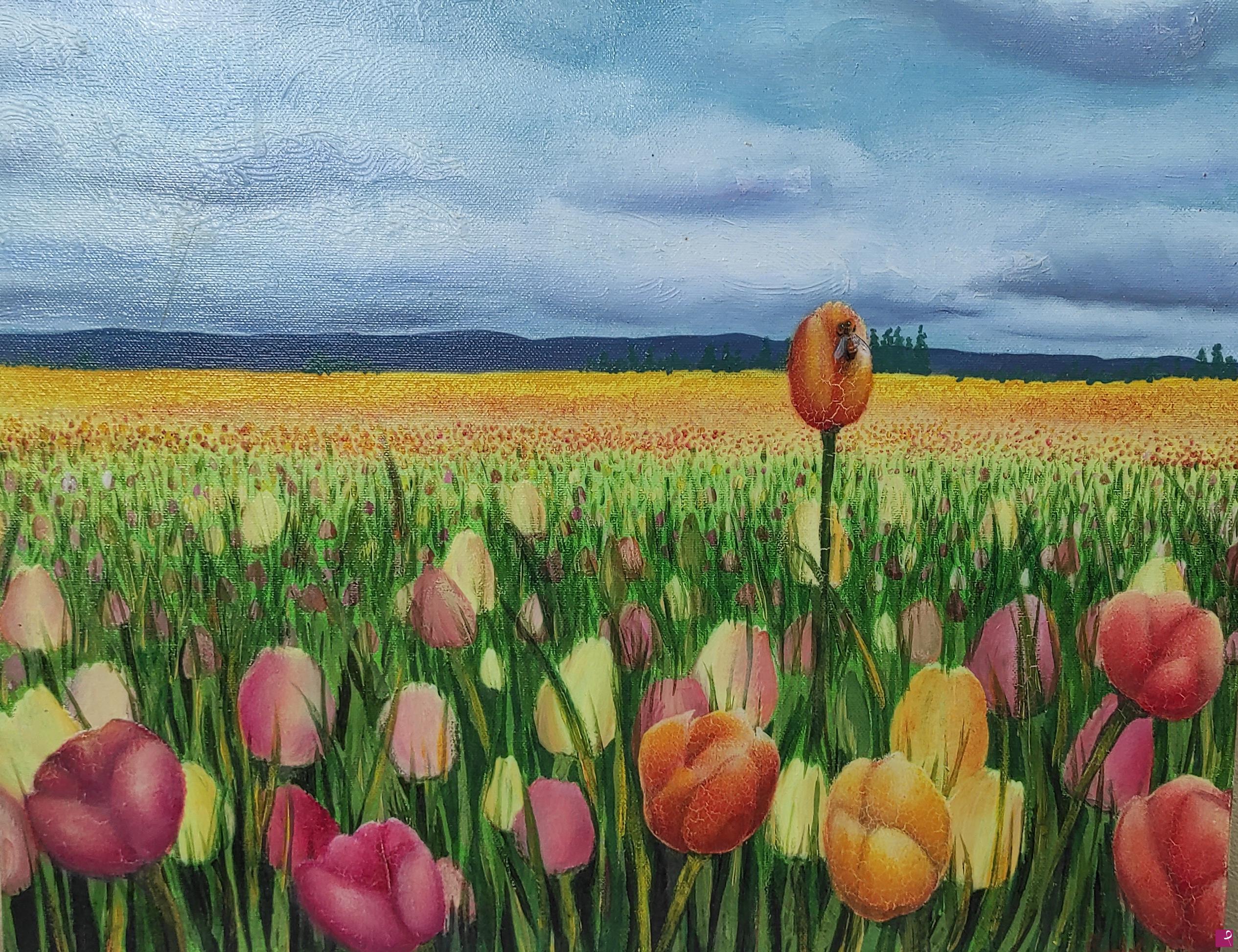 quadri in vendita online - Campo di Tulipani 