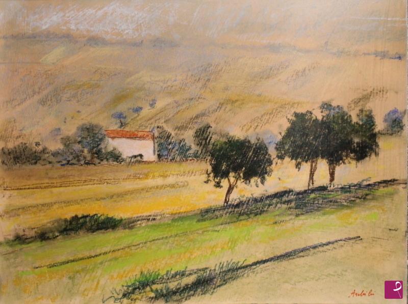 quadri in vendita online - campo marchigiano