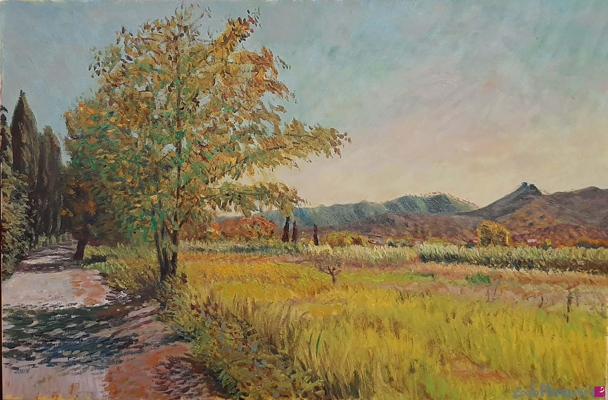 quadri in vendita online - Campo vicino Portoferraio.