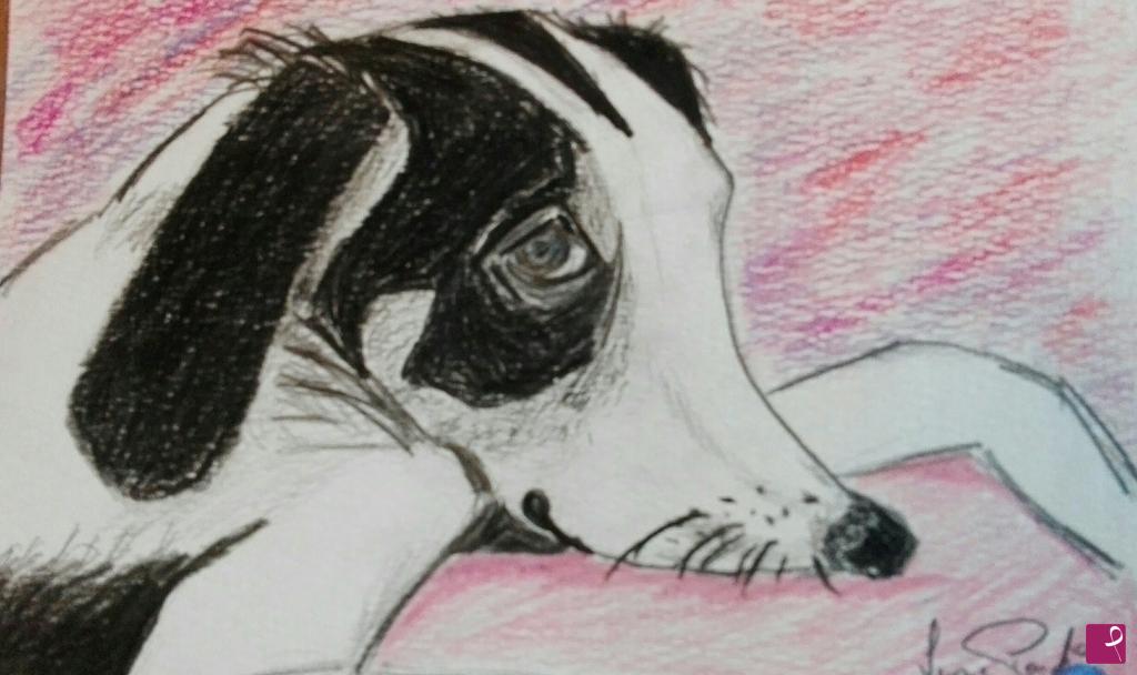 quadri in vendita online - " CANE 1"