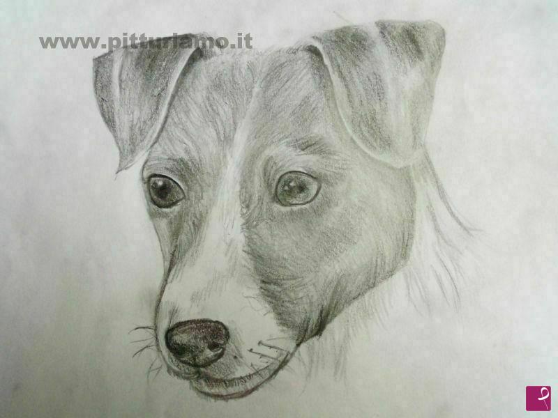 quadri in vendita online - cane