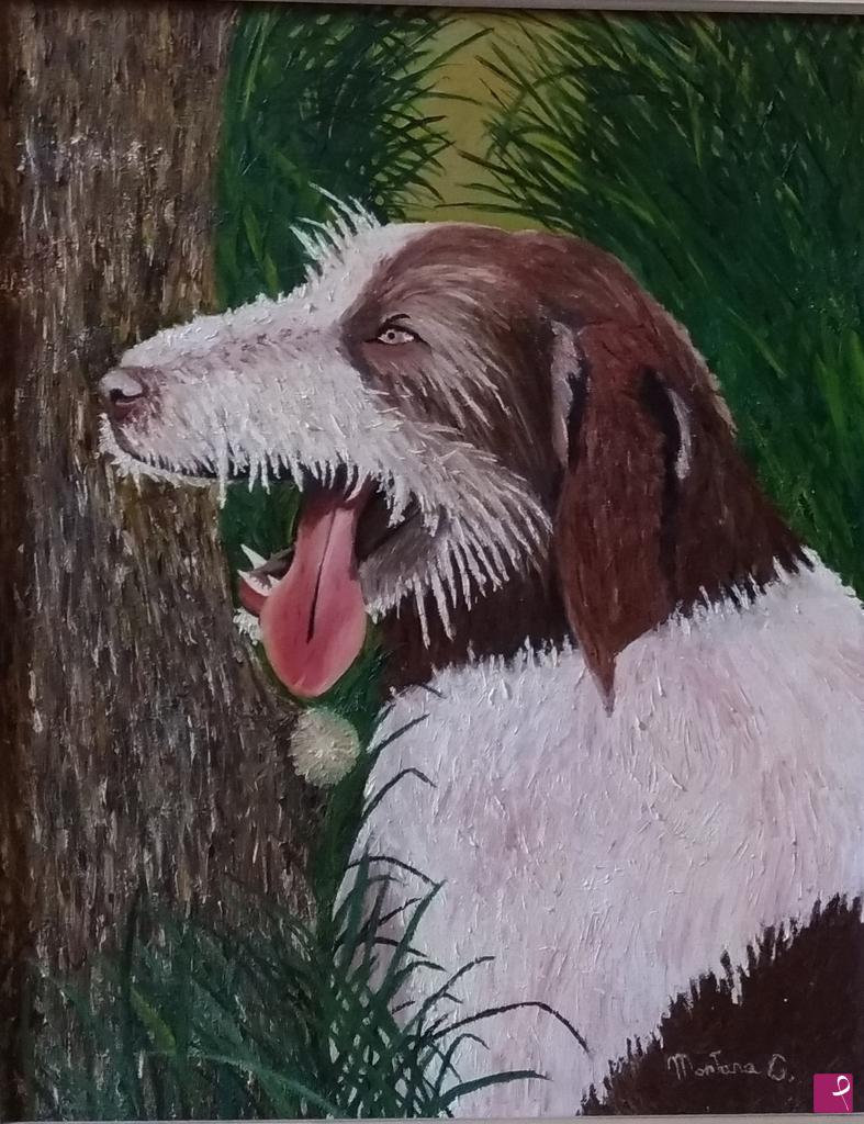 quadri in vendita online - Cane