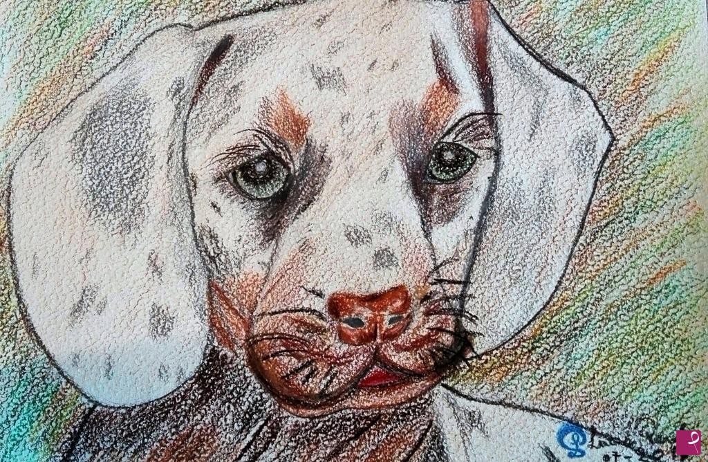 quadri in vendita online - " CANE 2"