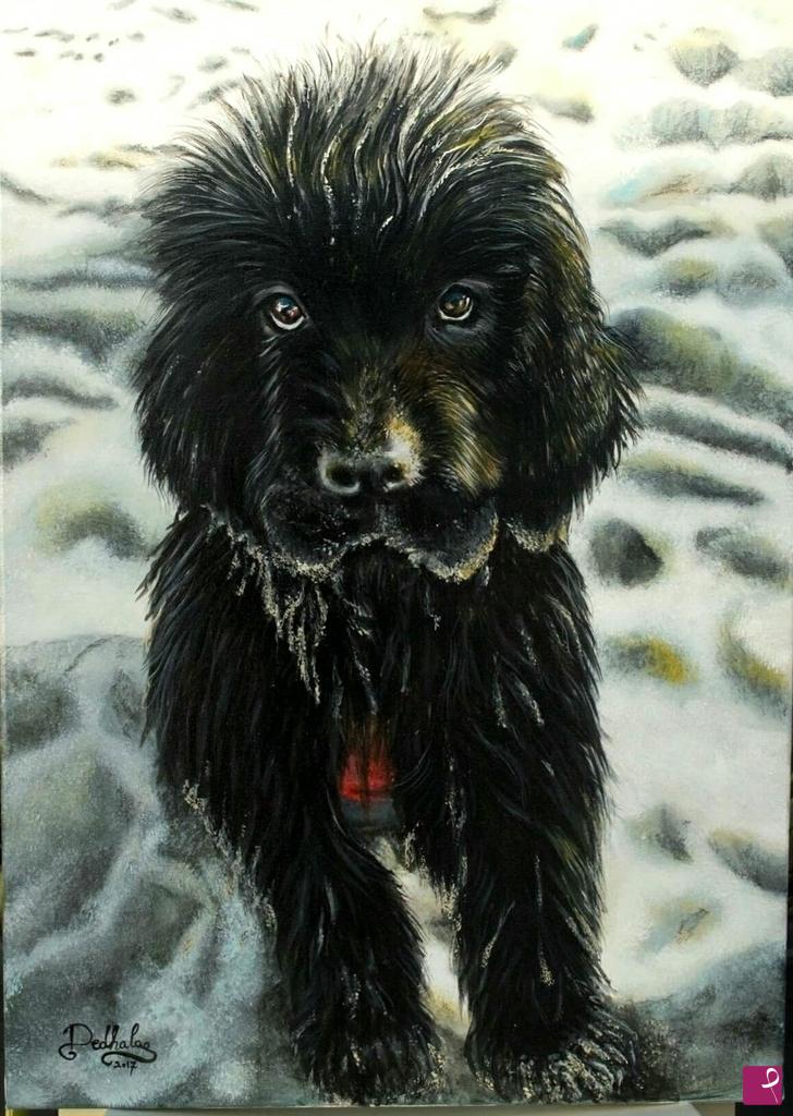 quadri in vendita online - Cane