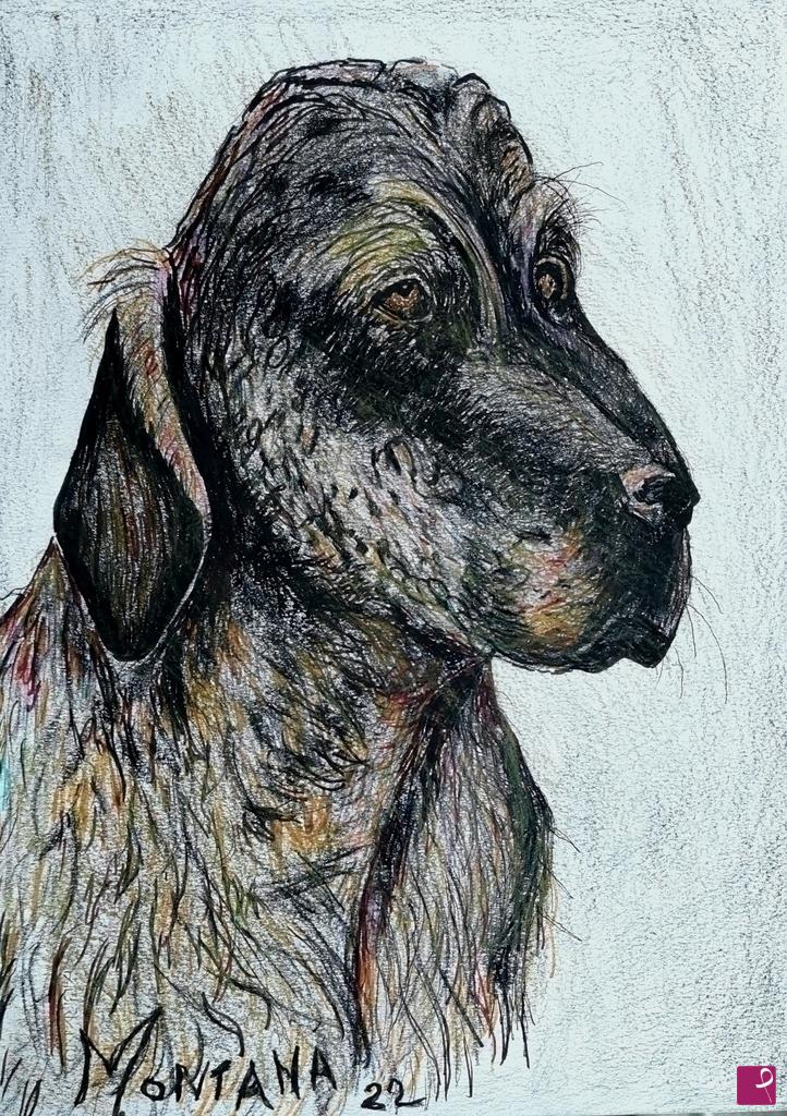 quadri in vendita online - Cane