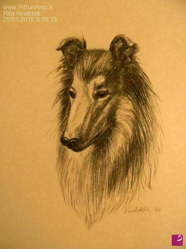 quadri in vendita online - cane (collie)