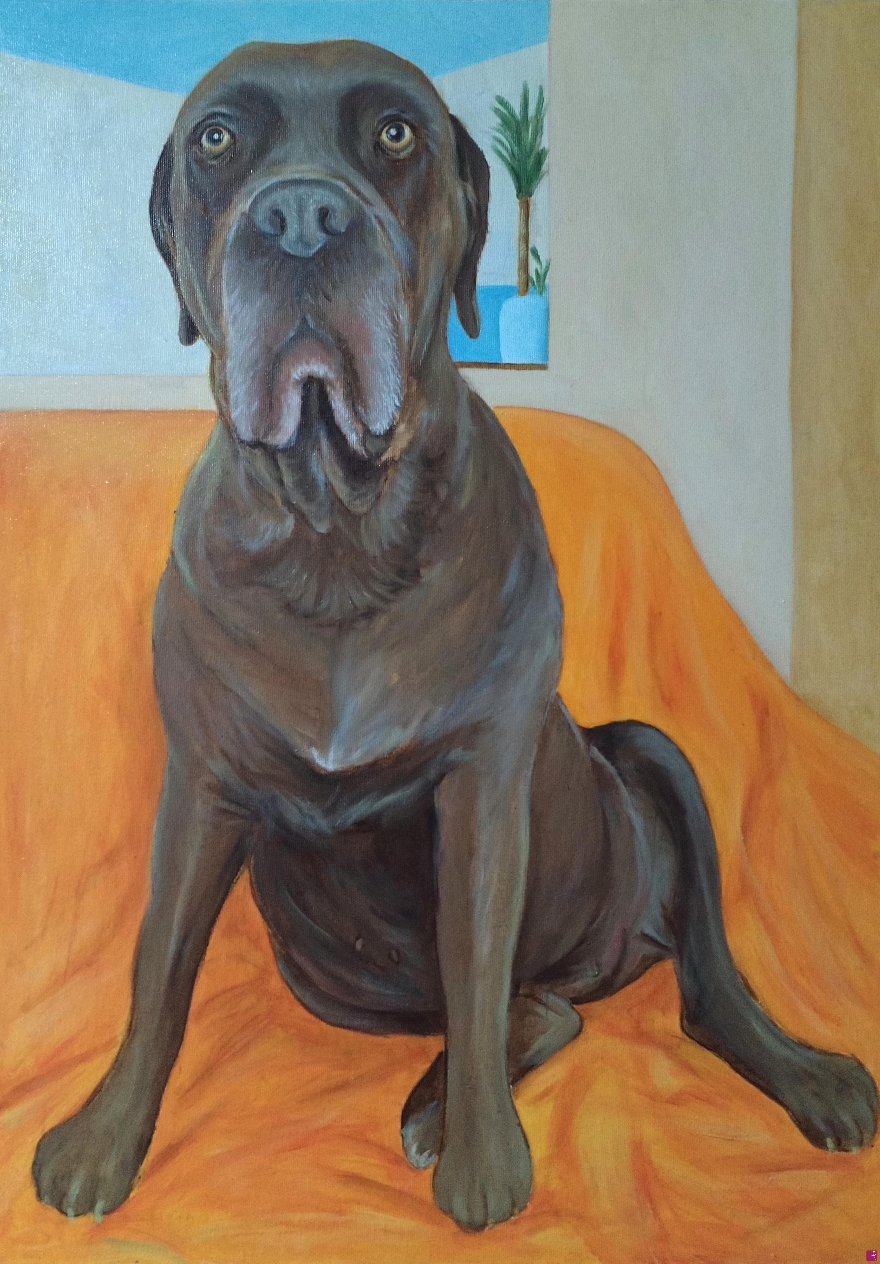 quadri in vendita online - Cane Corso ad olio su tela