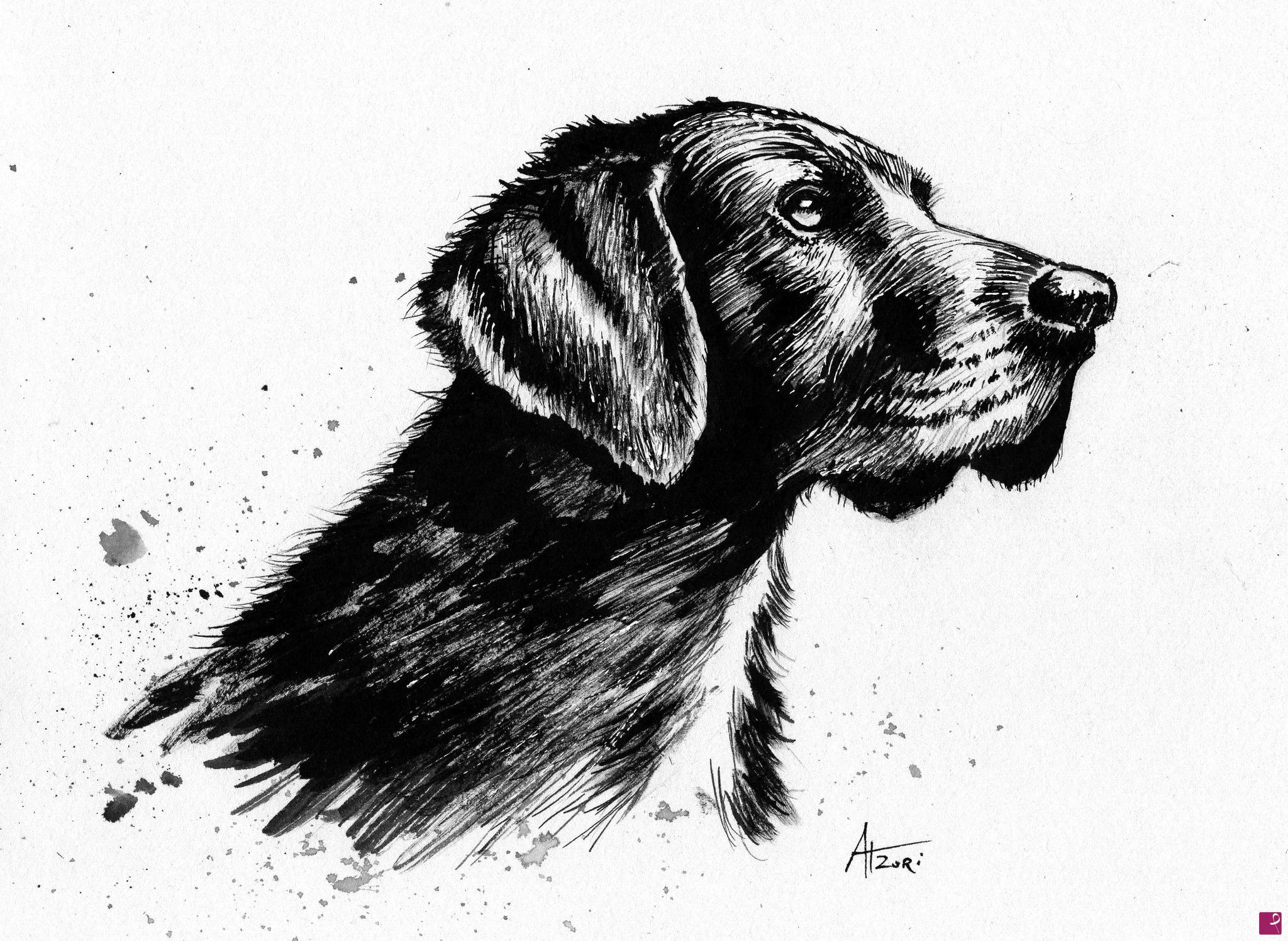 quadri in vendita online - CANE DA CACCIA