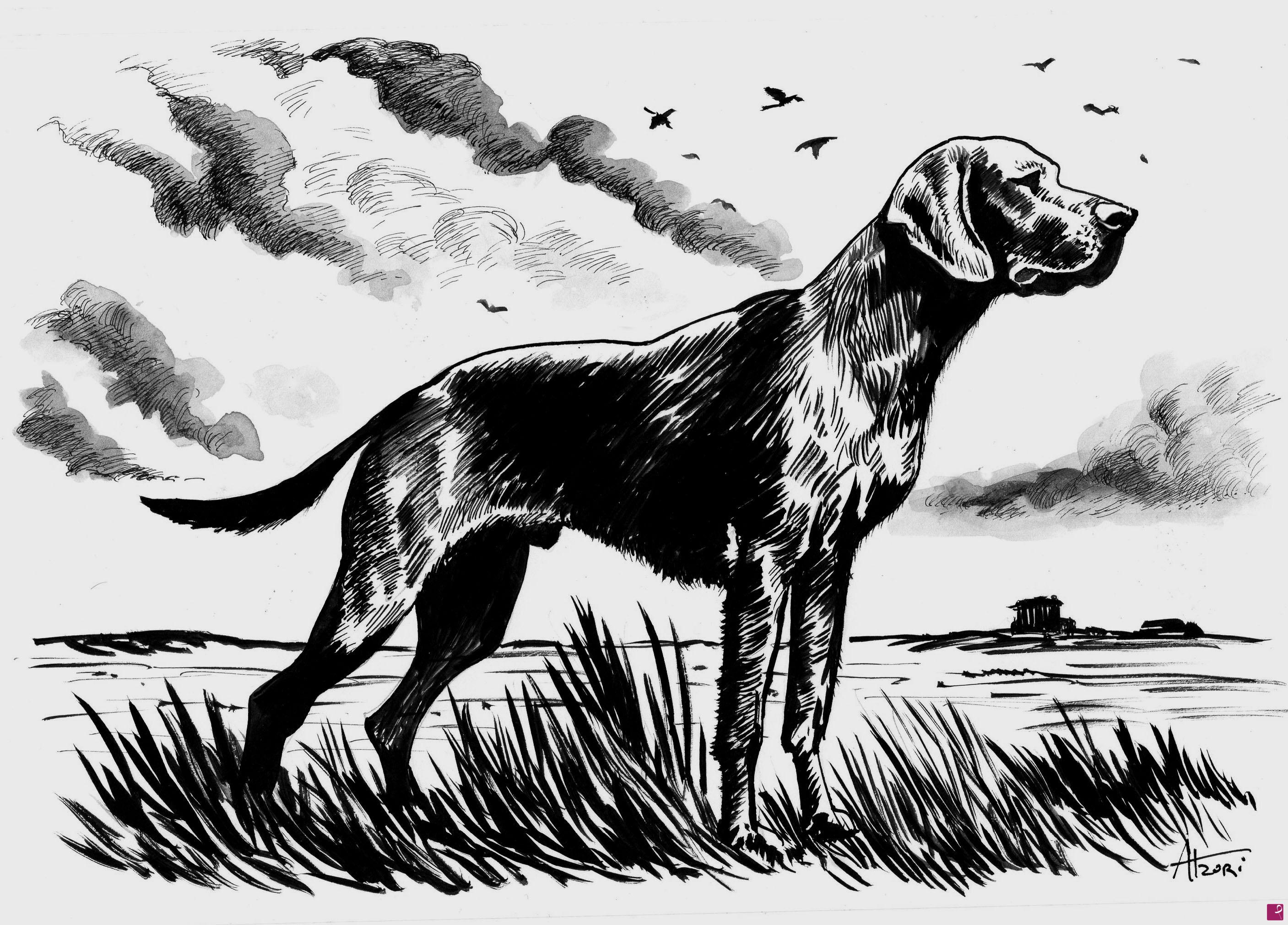 quadri in vendita online - Cane da caccia