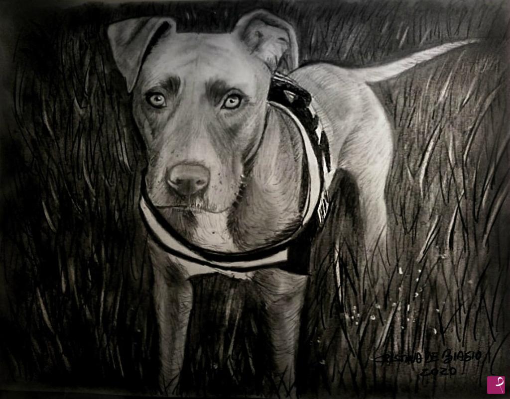 quadri in vendita online - Cane  di  Ilaria