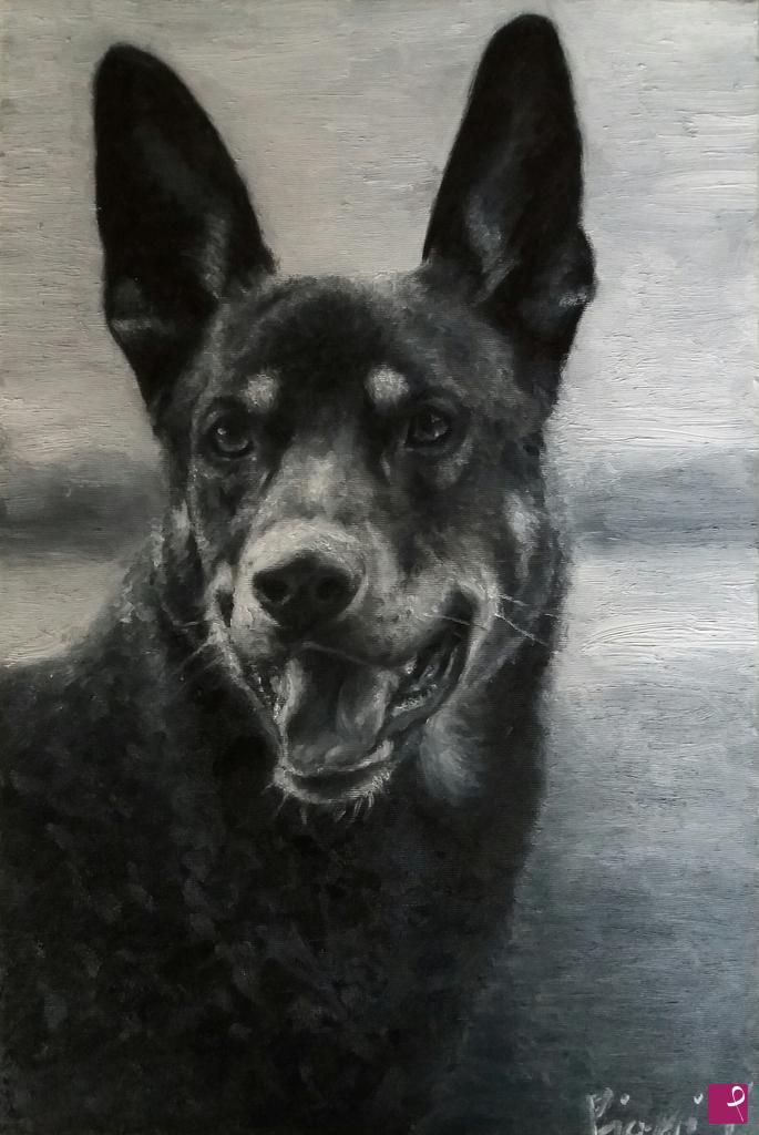 quadri in vendita online - CANE LUPO 