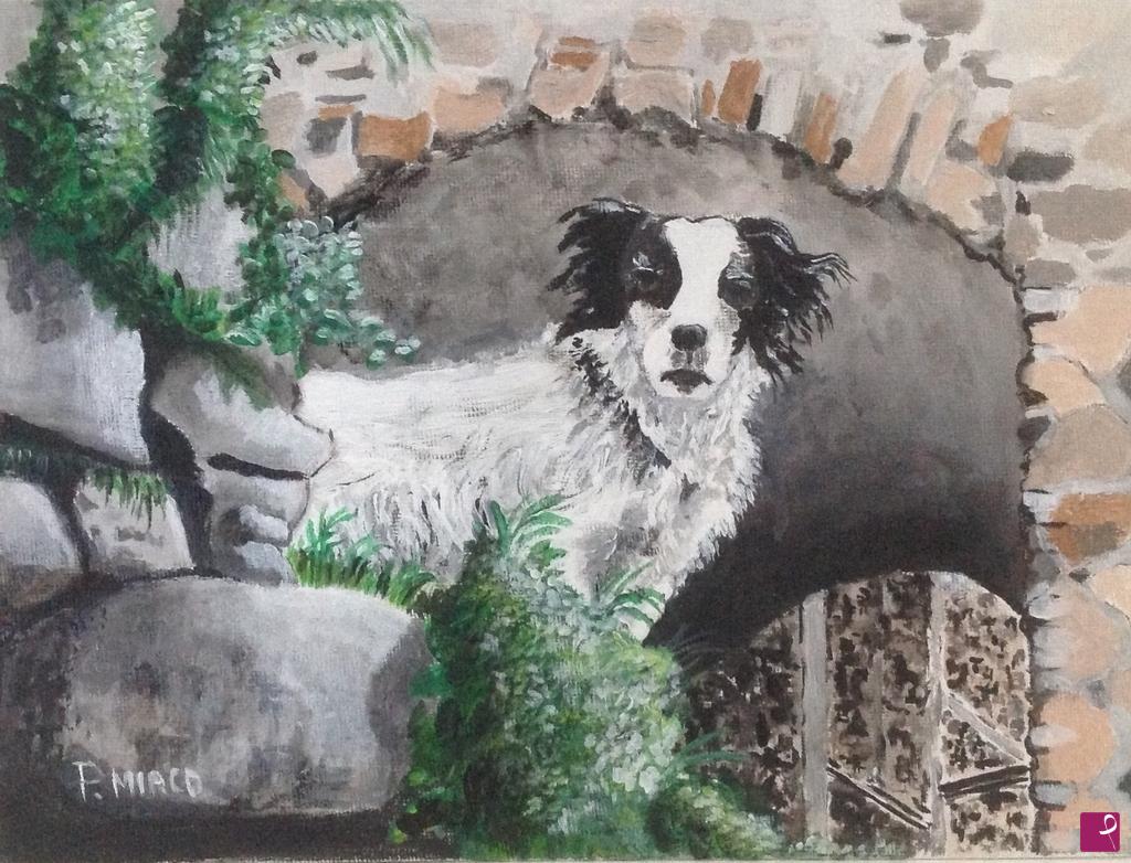 quadri in vendita online - Cane pastore