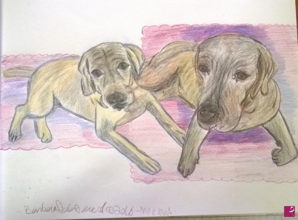 quadri in vendita online -   cani labrador ritratto cani