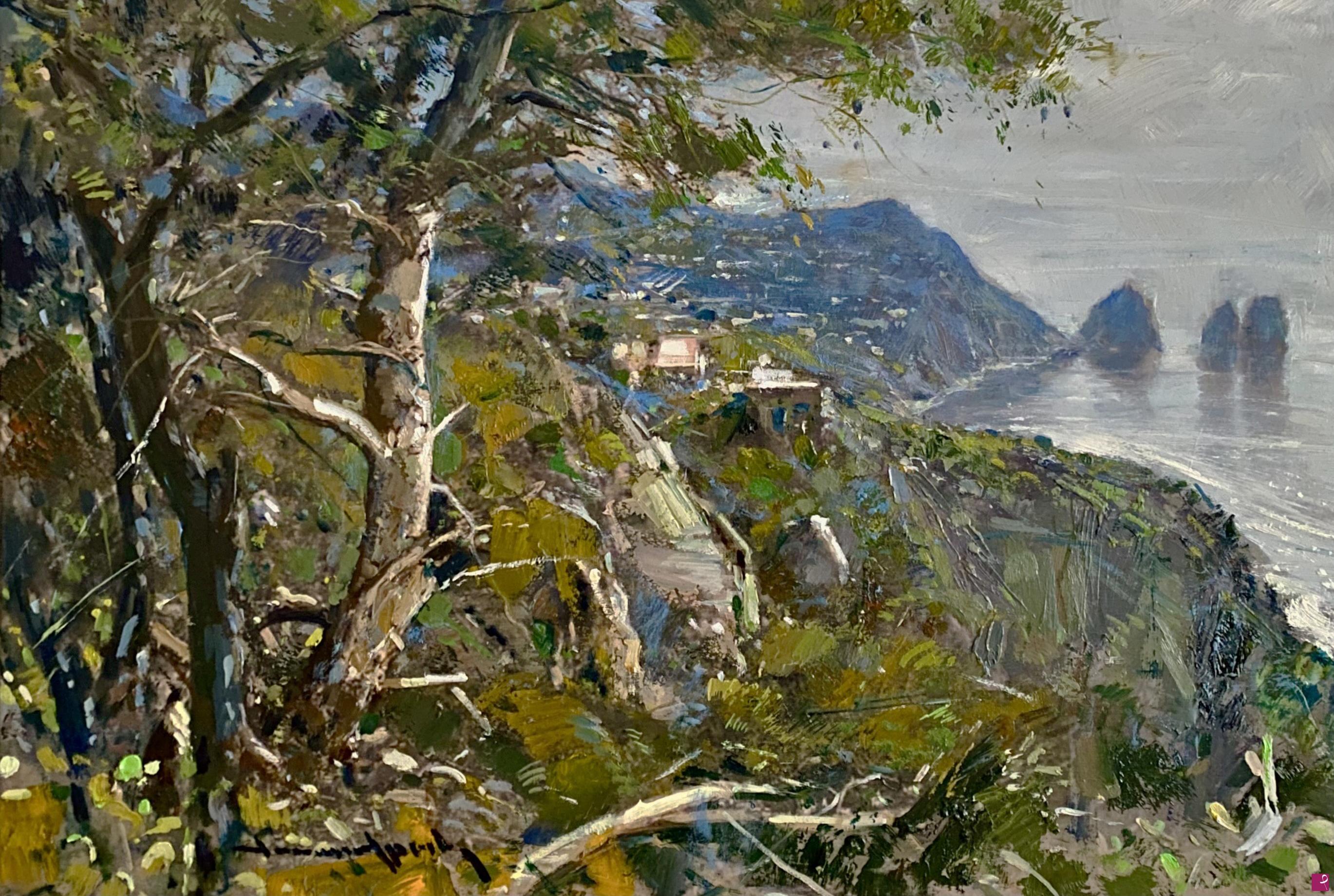 quadri in vendita online - Capri