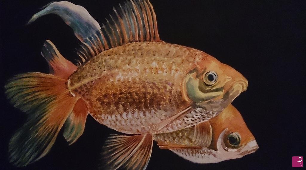 quadri in vendita online - Carassius auratus