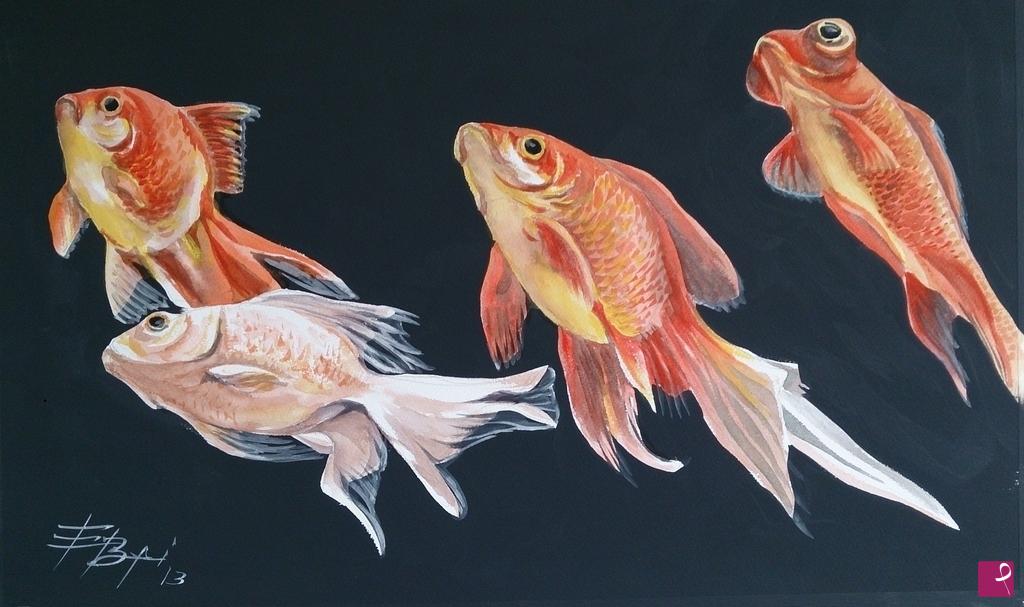 quadri in vendita online - carassius auratus 4
