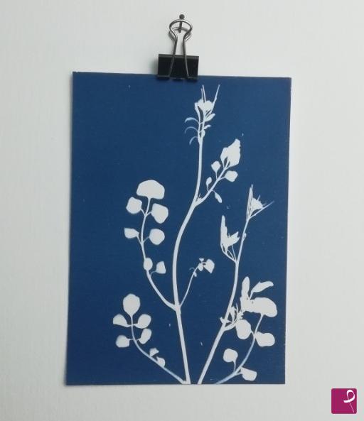 quadri in vendita online - cardamine hirsuta