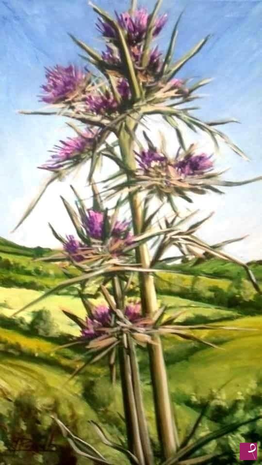 quadri in vendita online - Cardo mediterraneo