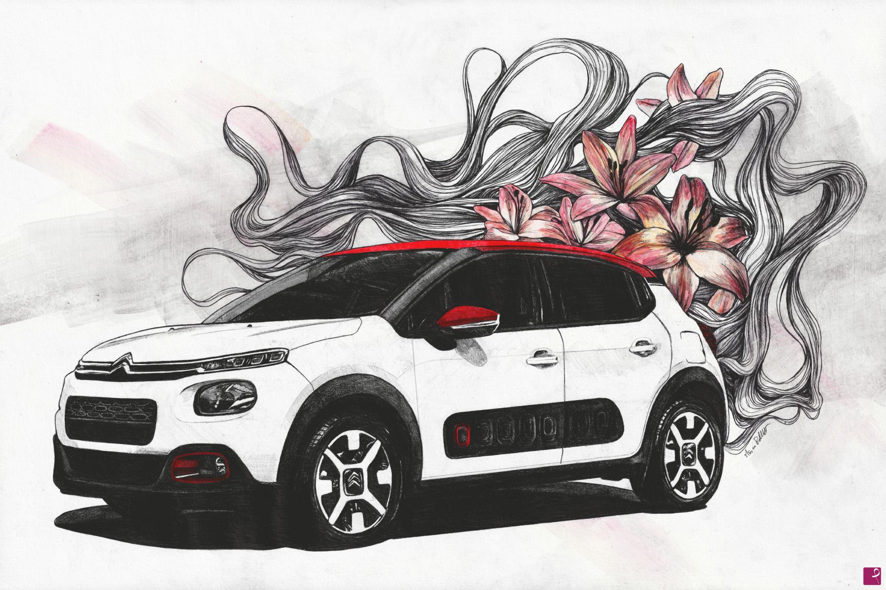 quadri in vendita online - Cars: Citroen C3