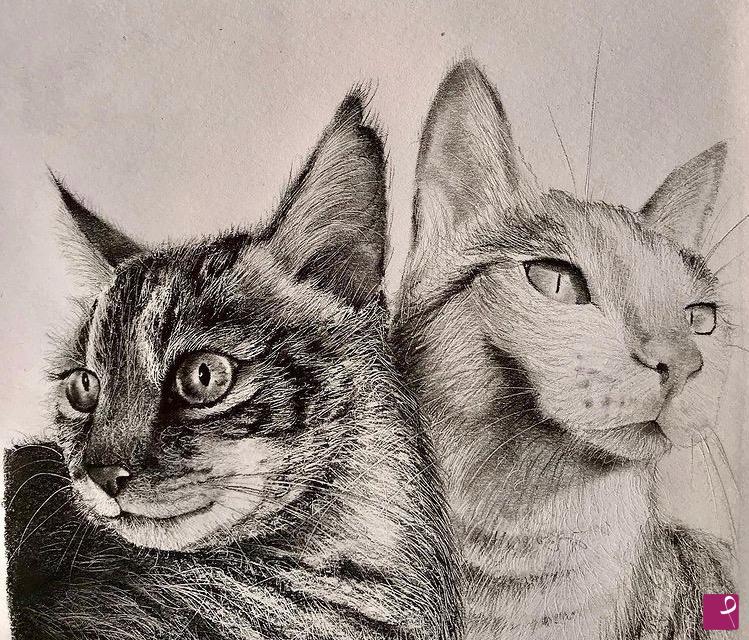 quadri in vendita online - Cat's beauty. 