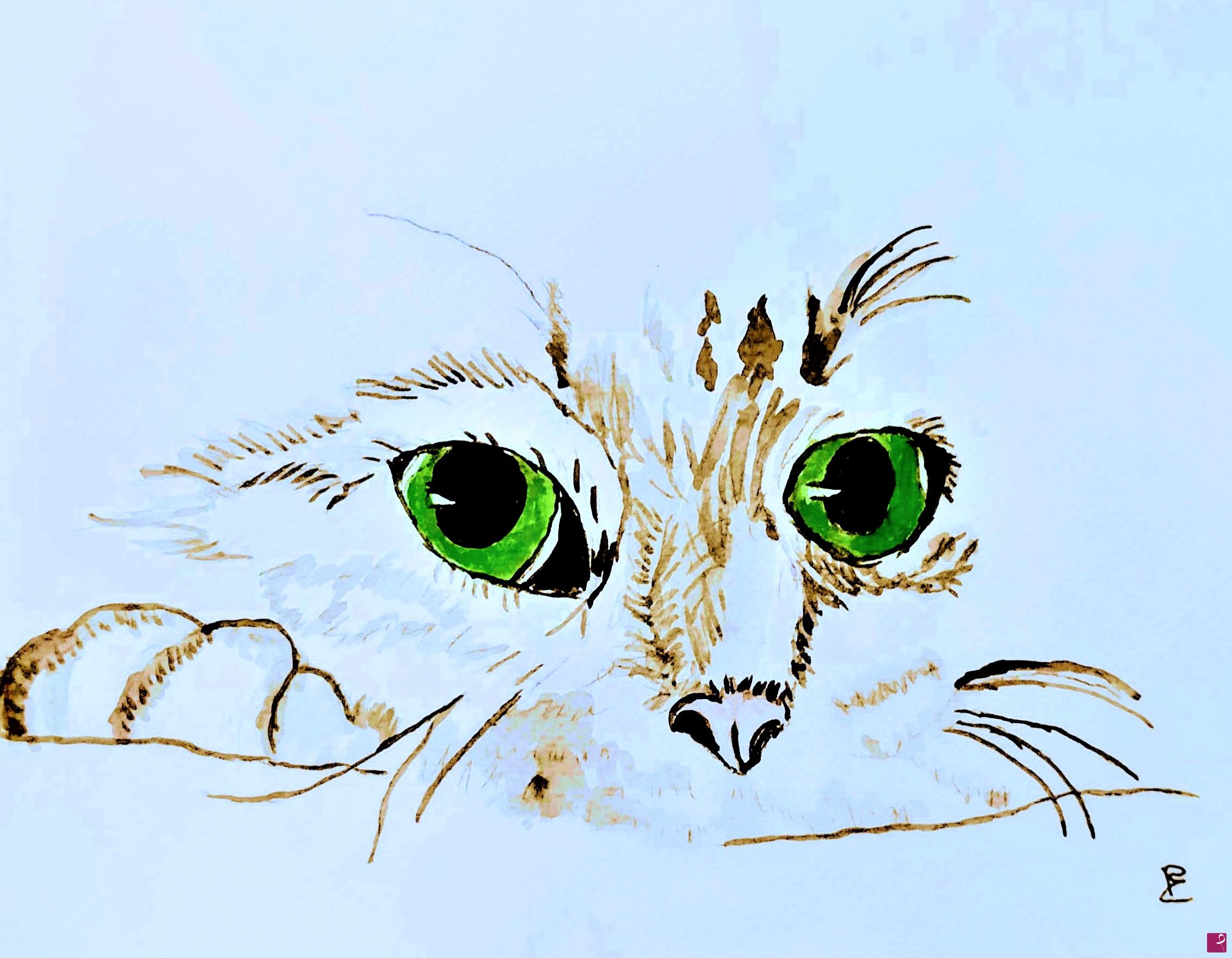 quadri in vendita online - Cat's Eye