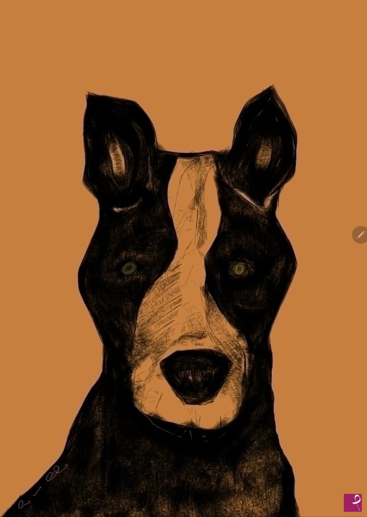 quadri in vendita online - Cattledog2