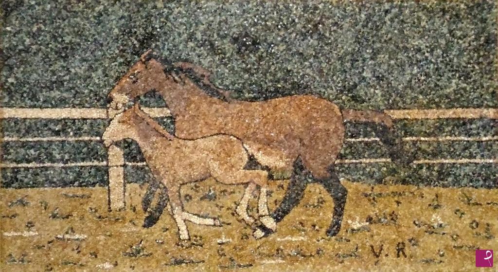 quadri in vendita online - CAVALLA CON PULEDRO