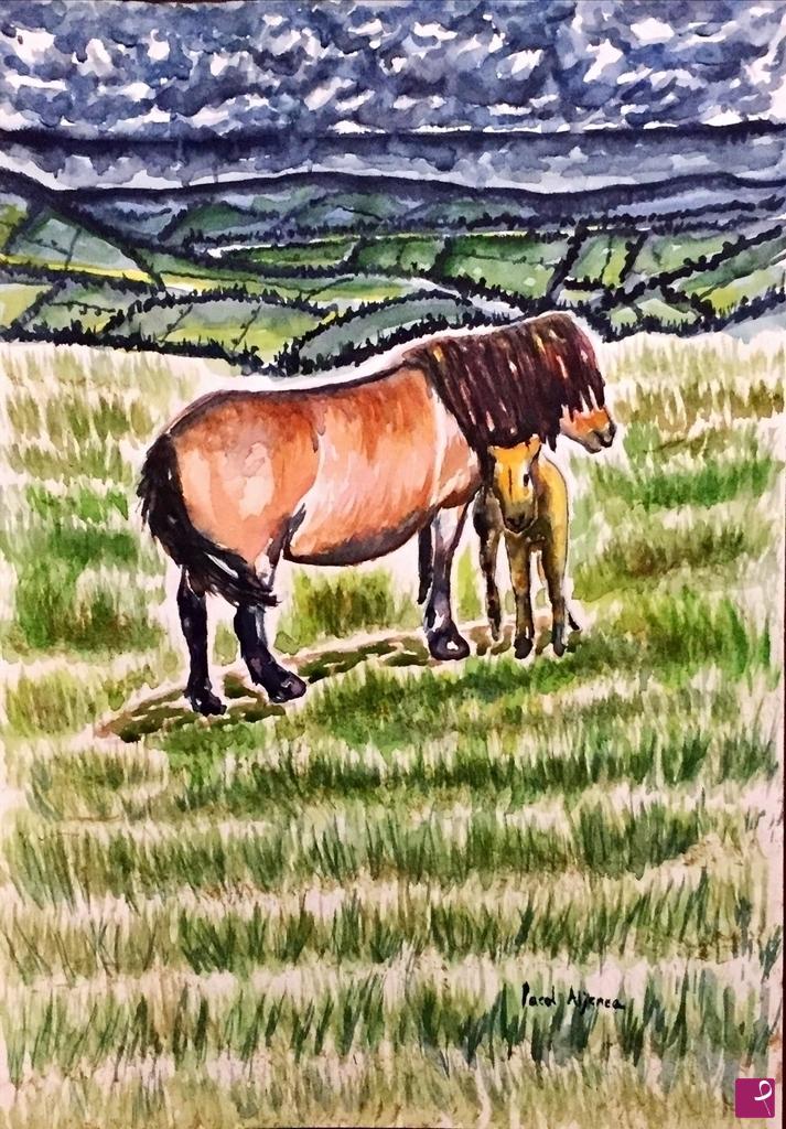 quadri in vendita online - Cavalli a Dartmoor